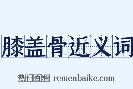 膝盖骨近义词是什么意思的图片